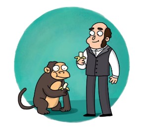 Человек и обезьяна едят бананы.