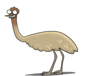 Логика и счет пиши стирай