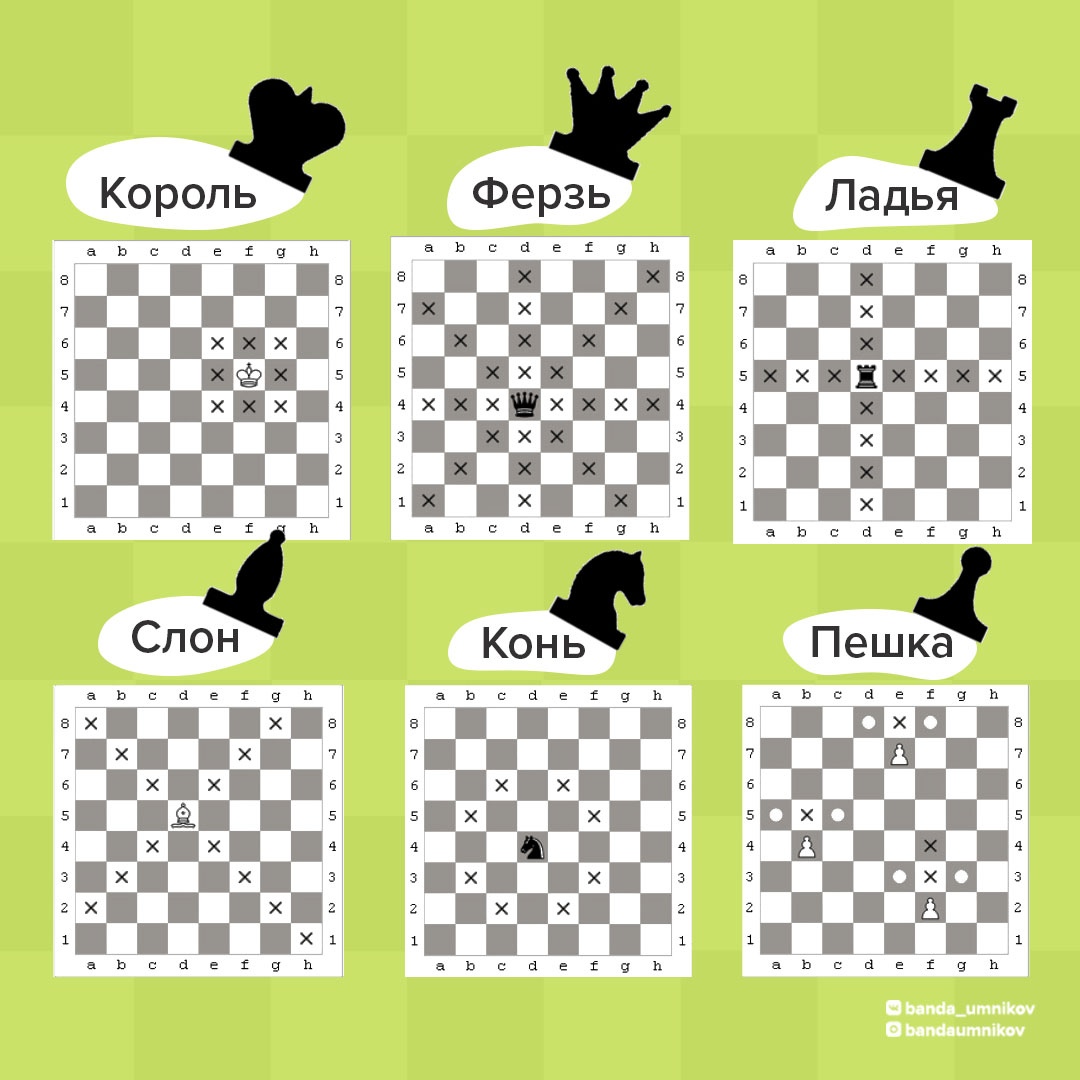 Как ходят шахматные фигуры?